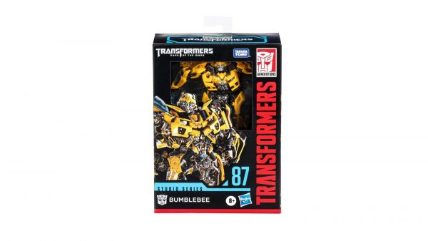 Bumblebee87