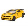 Bumblebee87_c